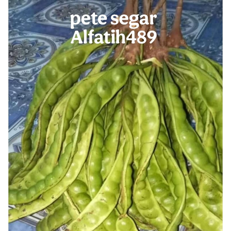 

PETE10perikat/PETAISEGARBISACODseindonesia
