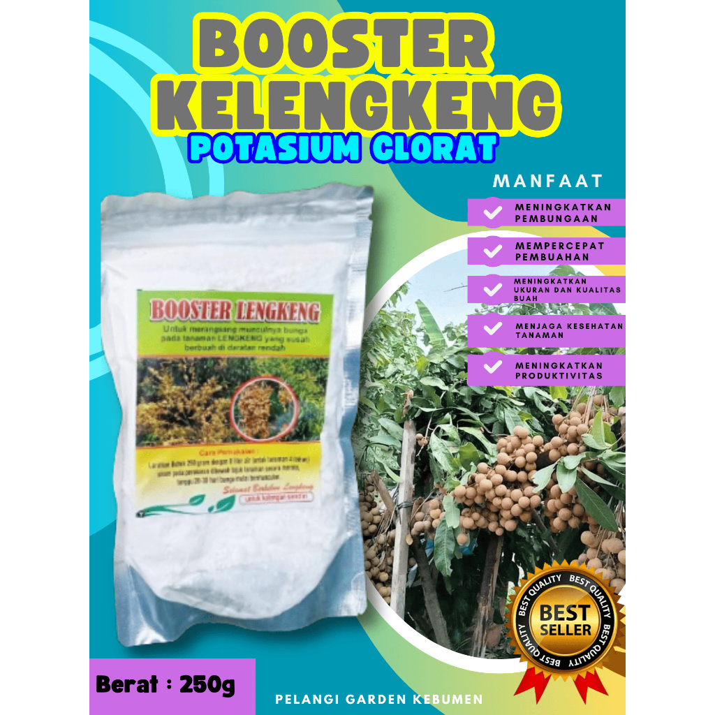 PROMO  Boster Kelengkeng Matalada Berbuah, Boster Kelengkeng Merah Cangkok Berbuah, Boster Kelengken