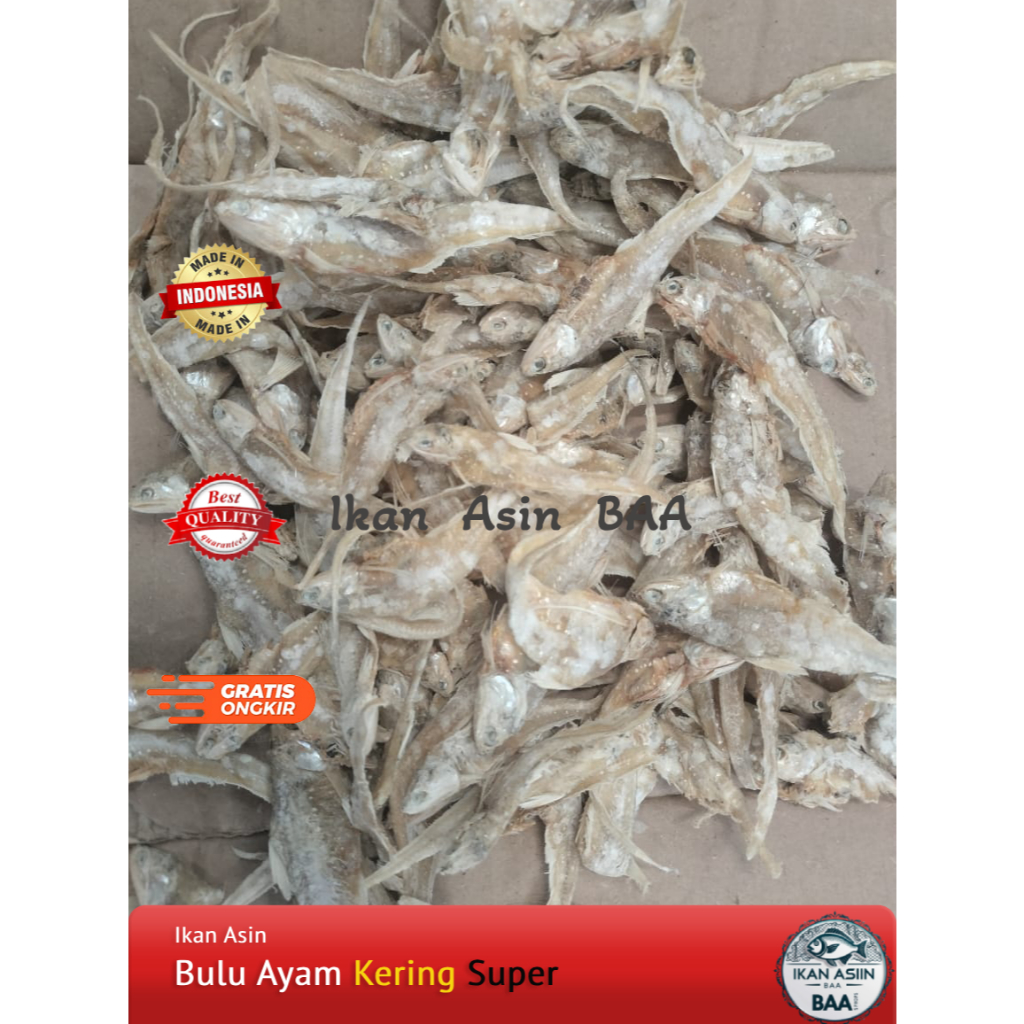 Ikan Asin Bulu Ayam Kering Super