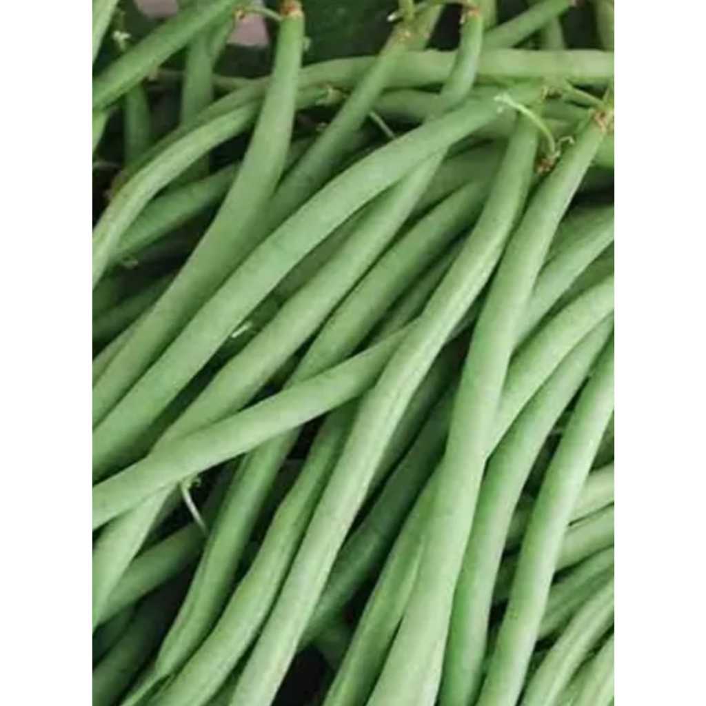 

Buncis Fres 100gr