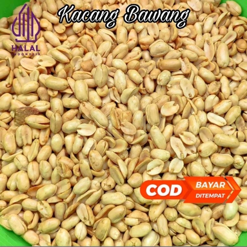 

Kacang bawang 500 gr Super premium Empuk gurih Renyah