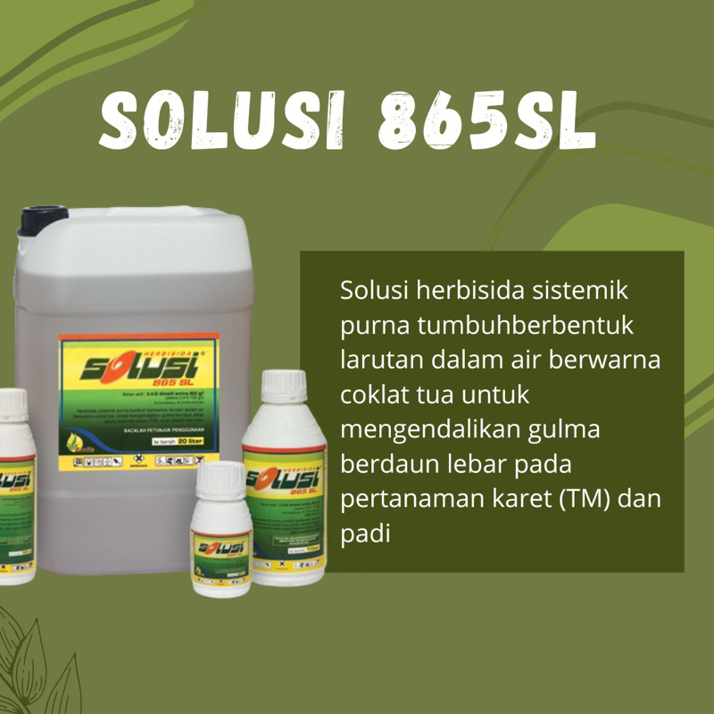 SOLUSI 200ML/OBAT RUMPUT PADI