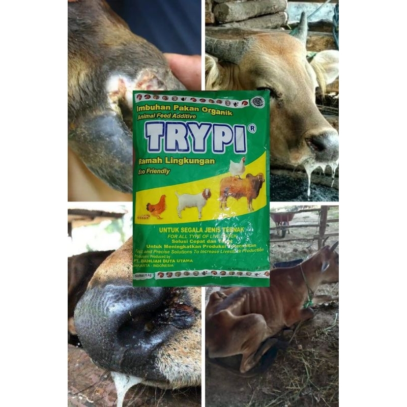 trypi suplemen terbaik..kemasan 1 kg