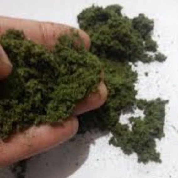 

Bubuk Serbuk Daun Kersen 500 Gram