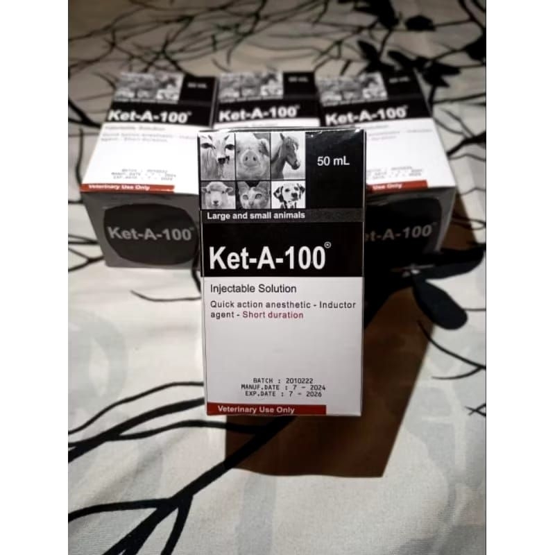 Ket-A-100 Obat Injection & Anestesi Hewan Obat Ket A 100
