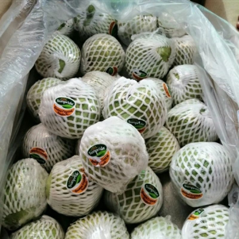 

Jambu kristal fresh sunpride