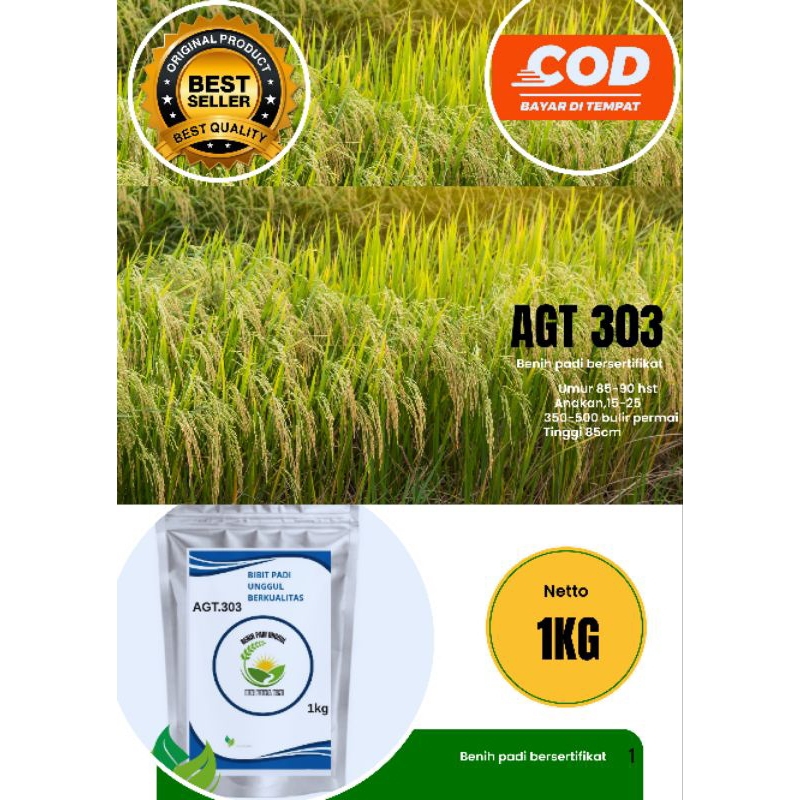 BENIH PADI AGT 303 bibit unggul berkualitas premium 1KG rasa nasi pulen