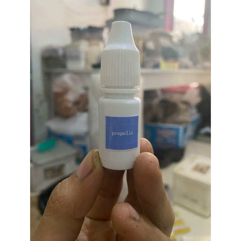 

propolis / lem lebah