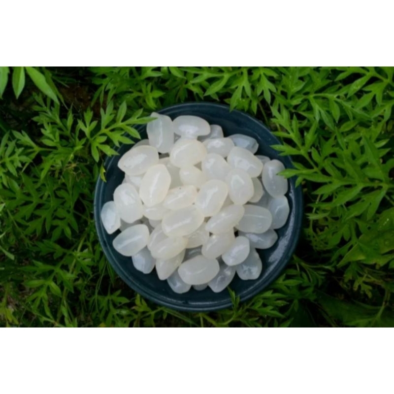 

Paket hemat Kolang Kaling segar 2 kg