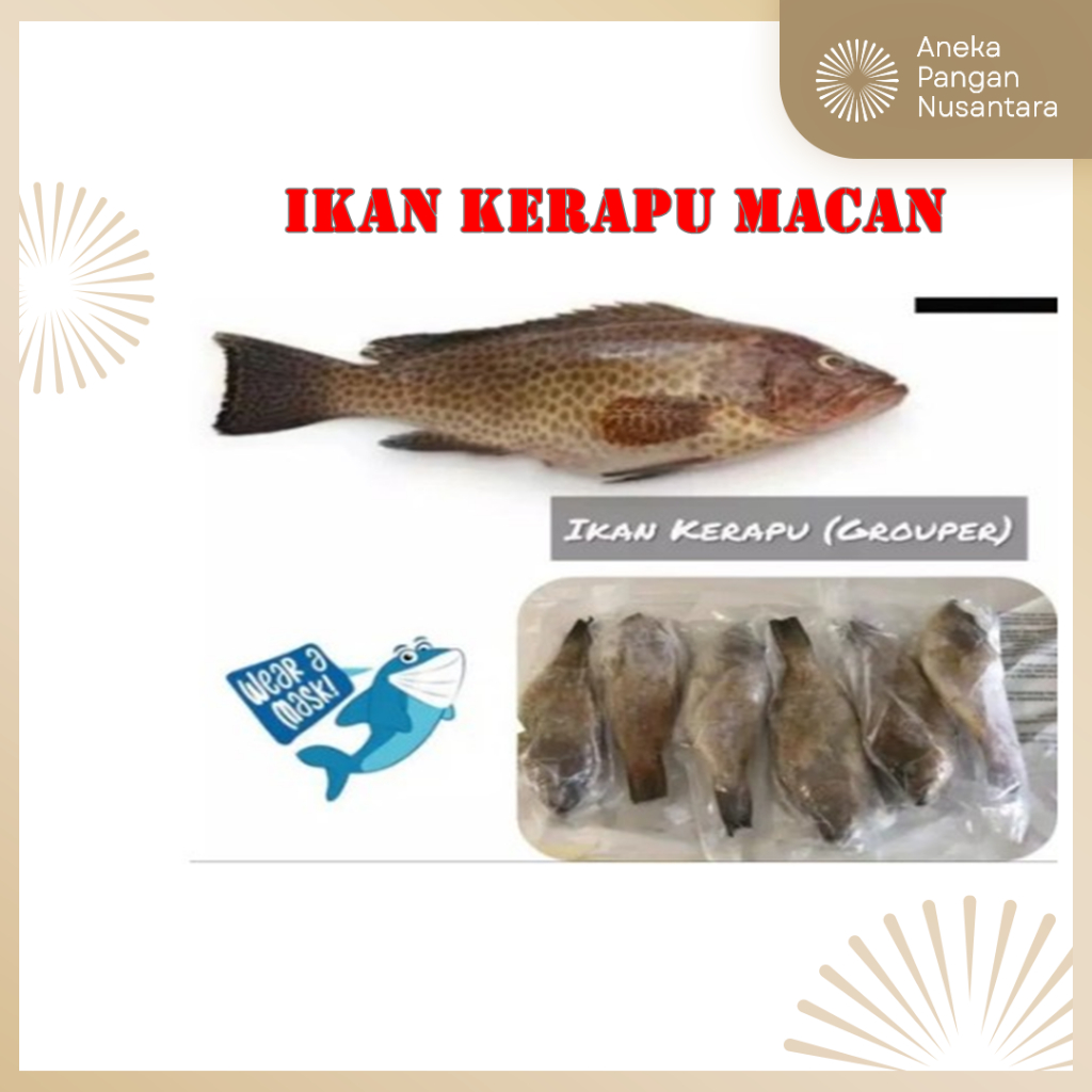 

Ikan Kerapu Macan frozen - 1kg