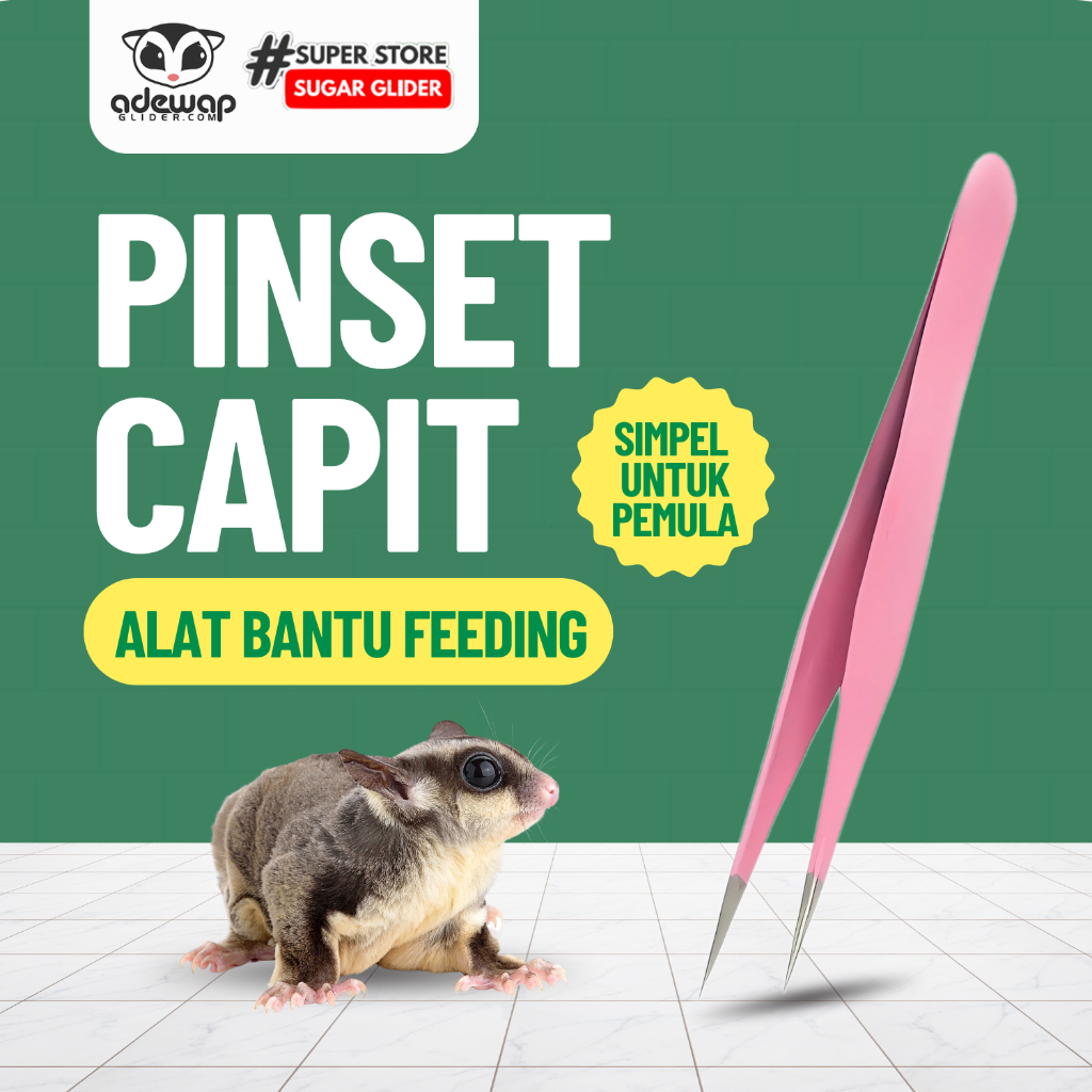 ADEWAP GLIDER Pinset Feeding Makanan Sugar Glider