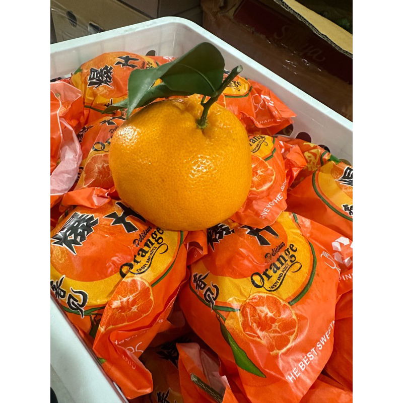 

JERUK SUMO BULIRNYA LEMBUT ENAK MURAH JARANG ADA