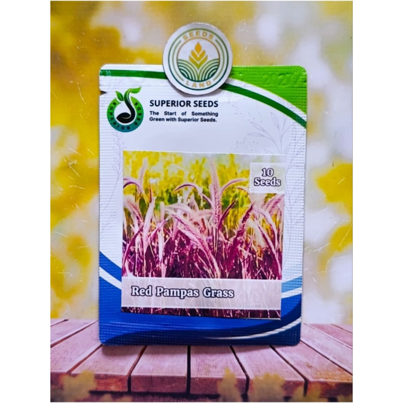 BIJI BENIH ILALANG EKOR KUDA MERAH KEMASAN ORIGINAL ISI ± 10 BUTIR