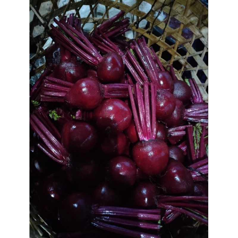 

BUAH BIT/BEETROOT FRESH KUALITAS SUPER 1KG
