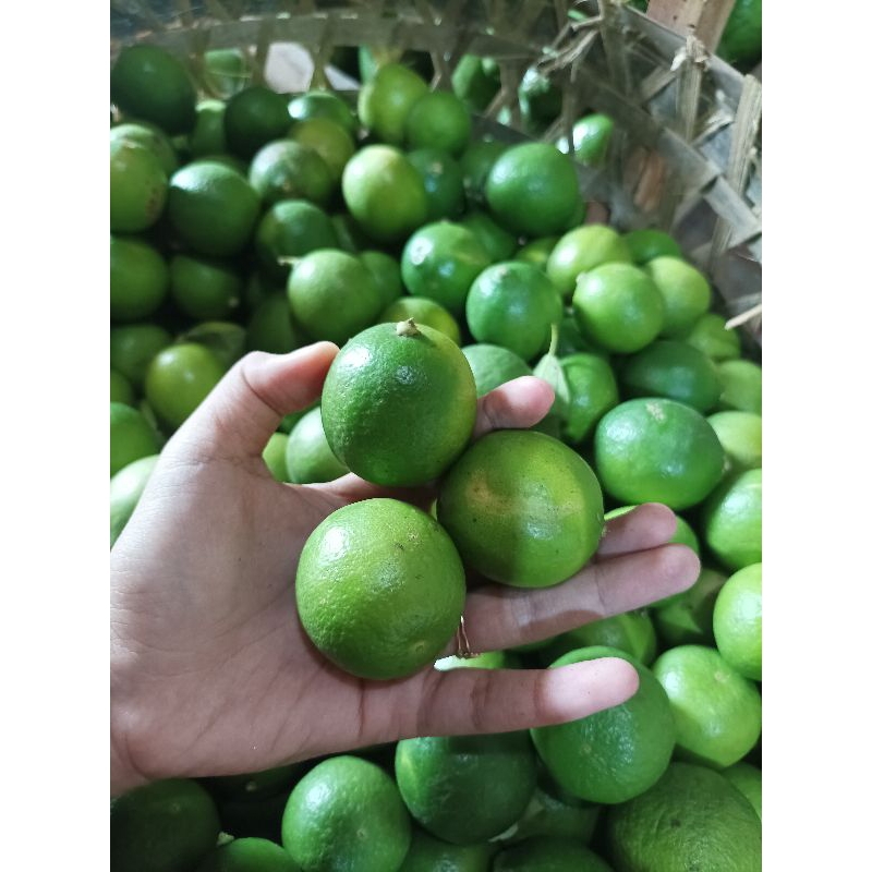 

Jeruk Nipis 1KG