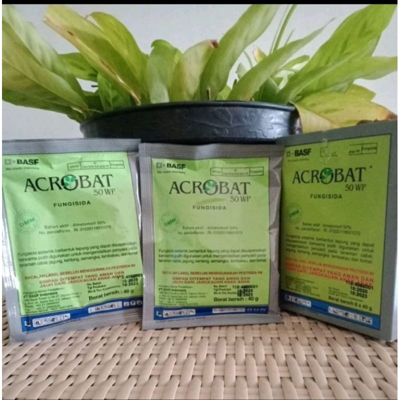 ACROBAT 50WP 40 GR