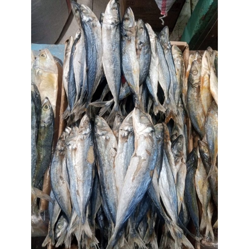

IKAN ASIN KLOTOK/LAYANG PERKAK KERING UKURAN BESAR ISI 15-17 EKOR/KG