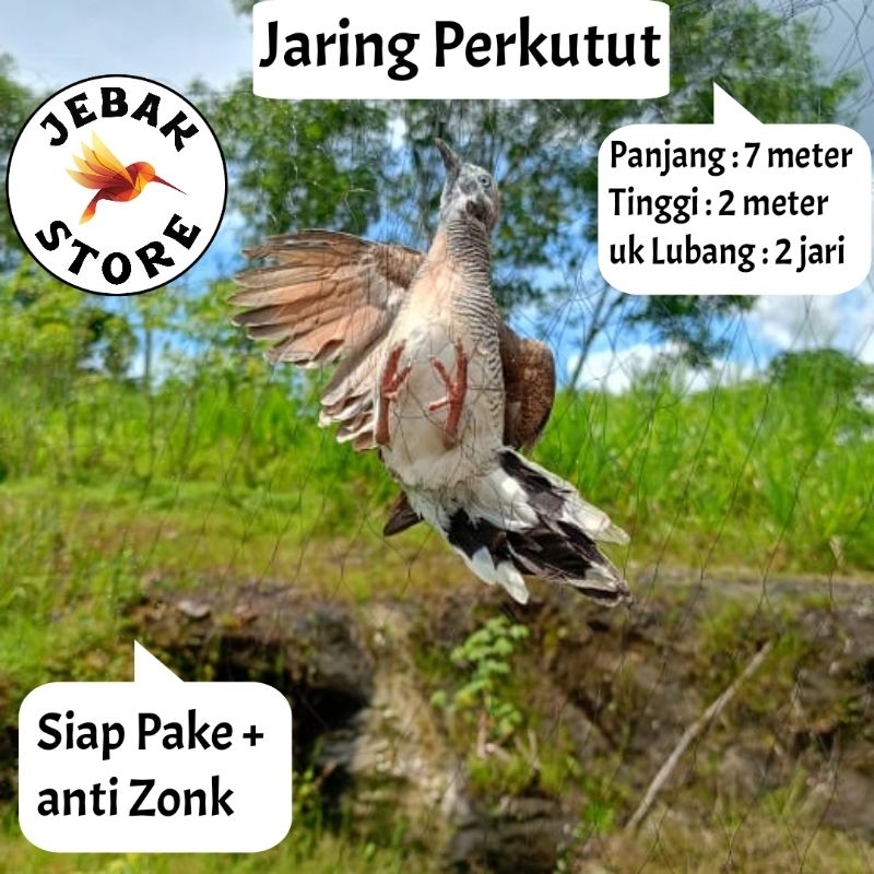 JARING BURUNG PERKUTUT JARING BURUNG KUTUT JARING BURUNG KUTUT JARING BURUNG BESAR JARING BURUNG 2 I