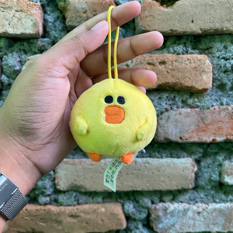 Sally Line Friends Pongpong