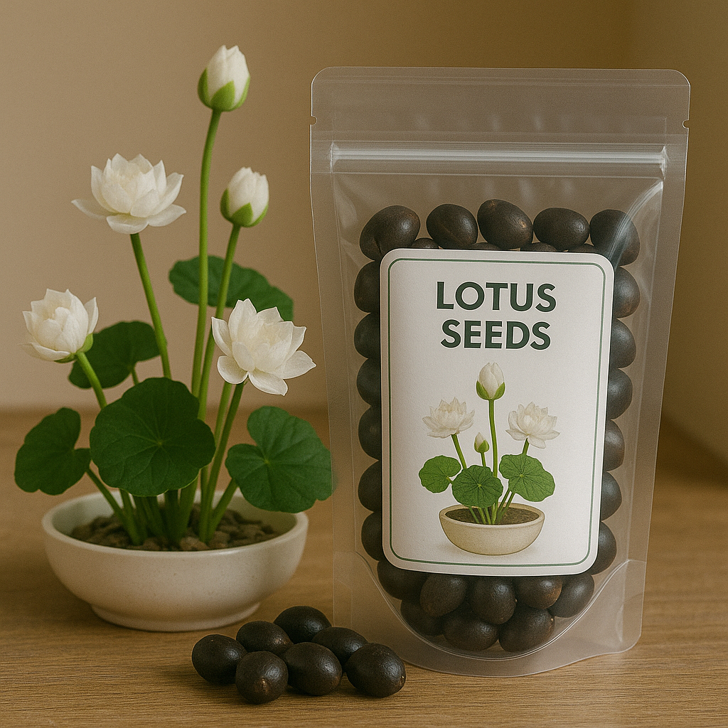 Biji Teratai Jepang Biji Benih Teratai Lotus Mini Biji Bunga Teratai Lotus Varian Warna