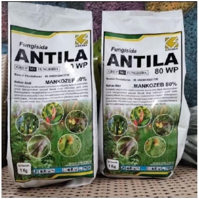 antila80wp1kg