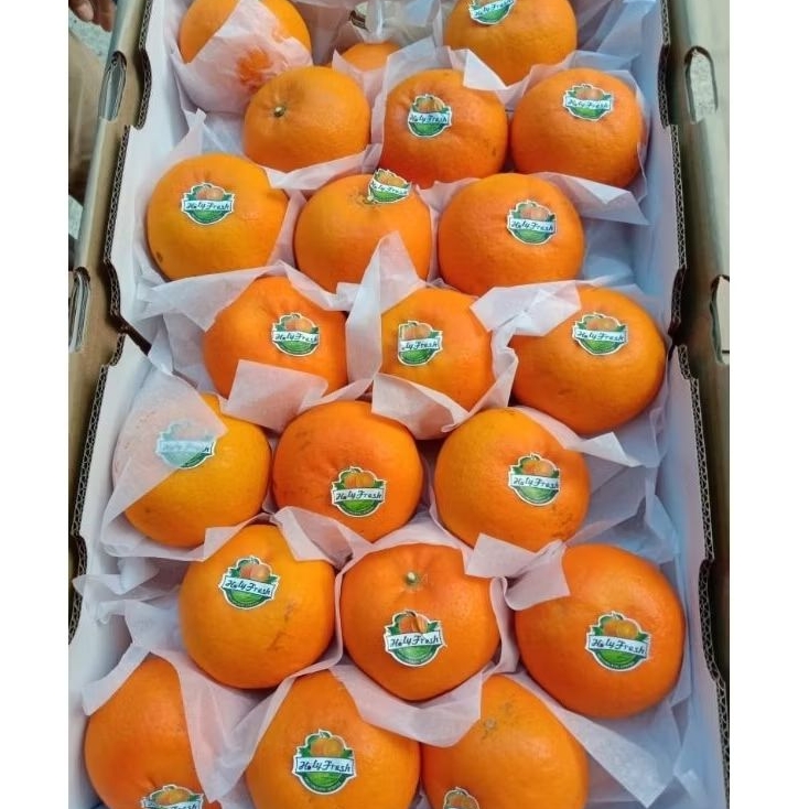 

Jeruk Wogan 1 Krat/1 Box