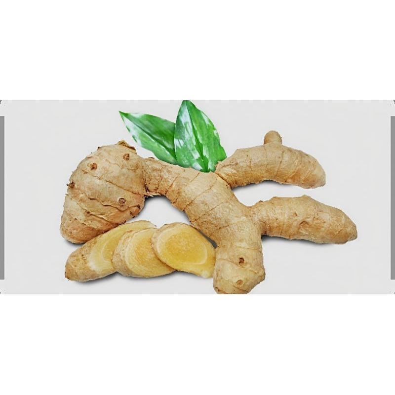 

KUNYIT MANGGA/TEMU MANGGA HERBAL 1KG