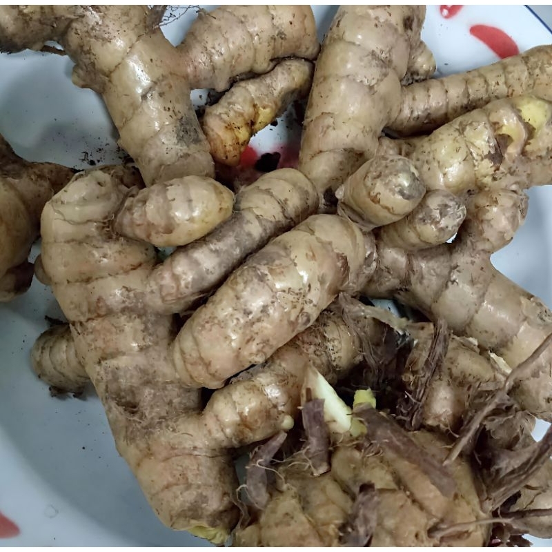 

KUNYIT MANGGA HERBAL ALAMI 500gram