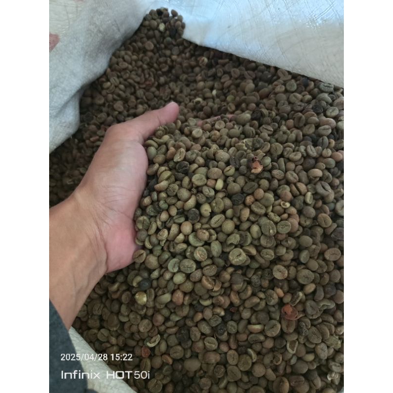 

greenbean robusta asalan