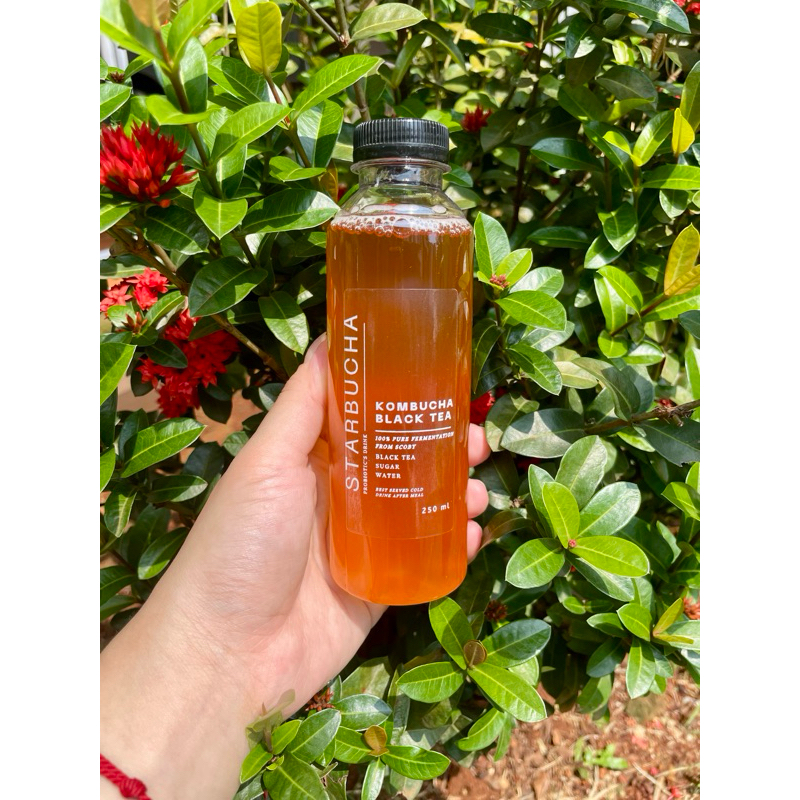 

KOMBUCHA BLACK TEA BY STARBUCHA