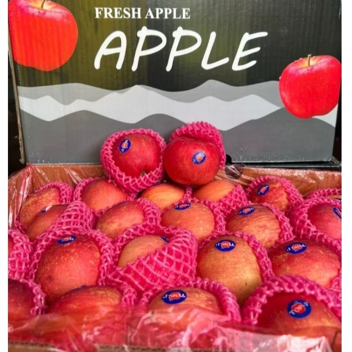 

Buah Apel Fuji 125 Mutu Terbaik Jual Per 1 Dus Karton