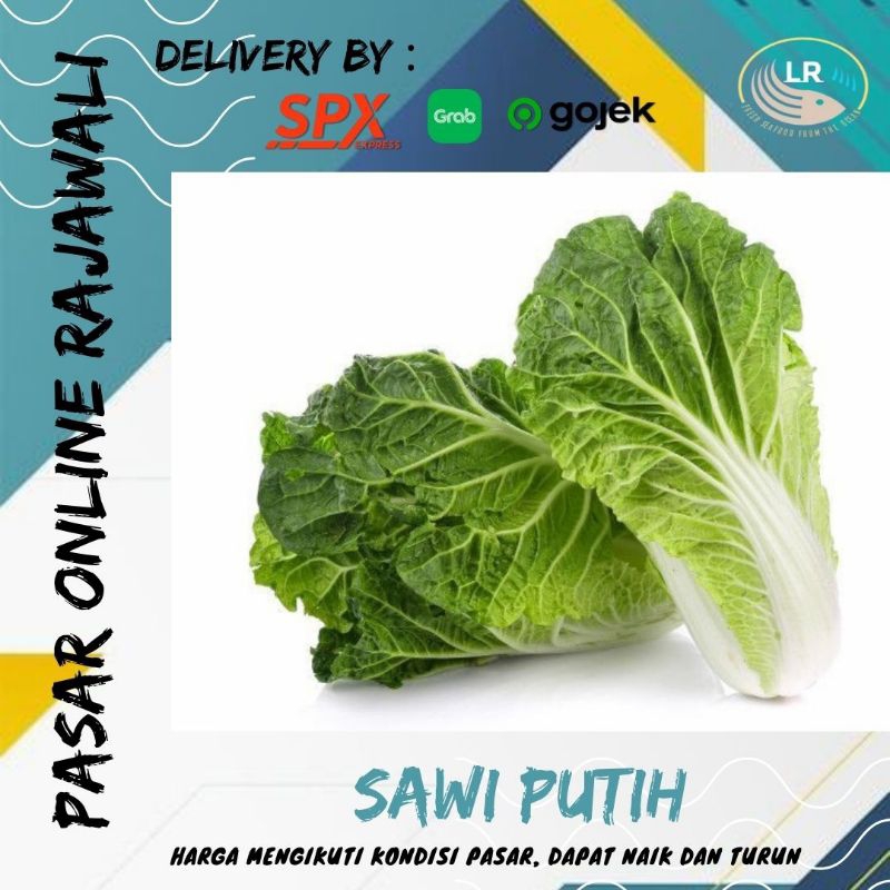 

Sawi putih