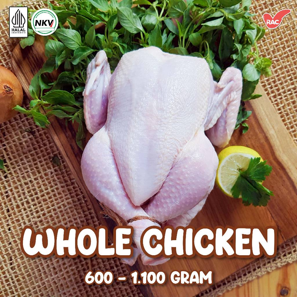 

Ayam utuh | Ayam Karkas | Whole Chicken Frozen
