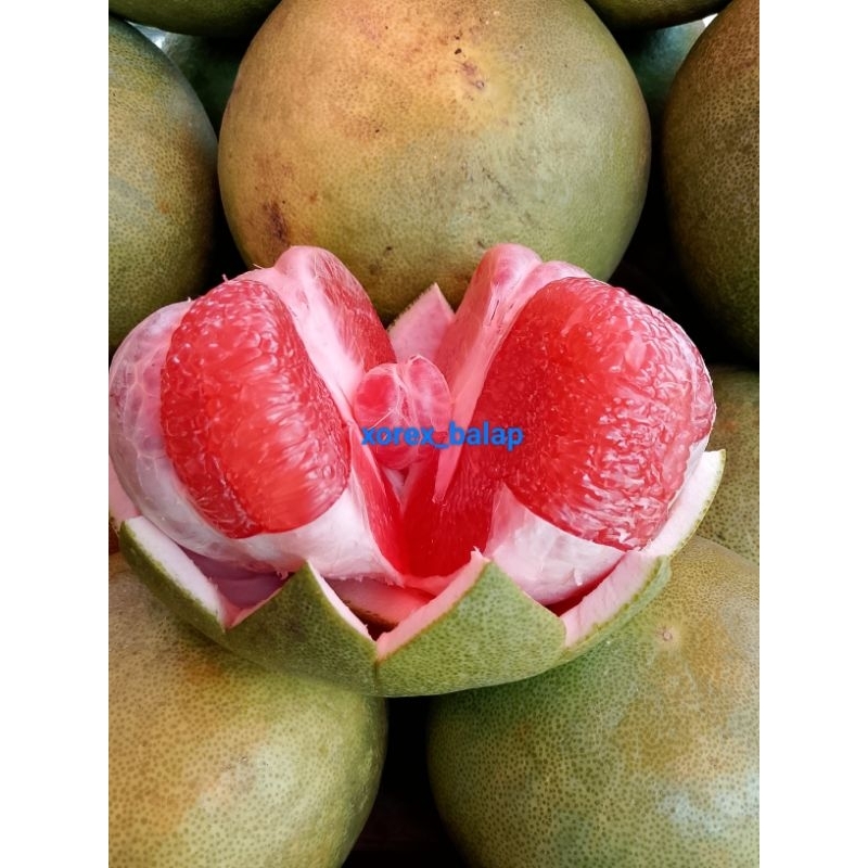 

jeruk bali pamelo merah manis segar