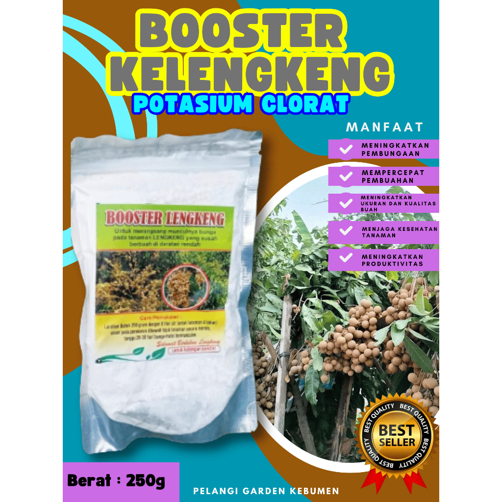 TERBAIK  Booster Buah Kelengkeng Pingpong, Booster Buah Kelengkeng Pingpong Berbuah, Booster Buah Ke