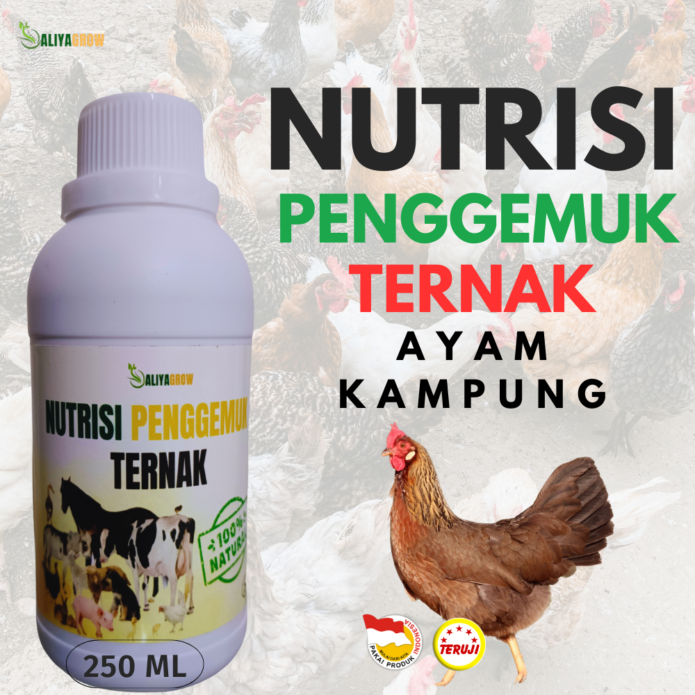 vitamin ayam kampung cepat besar/vitamin penggemuk untuk ayam kampung/vitamin untuk ayam kampung