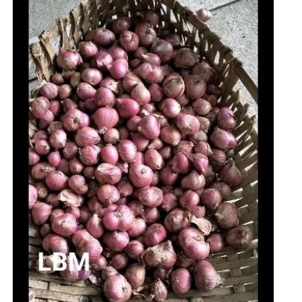 

Bawang merah 1kg kering