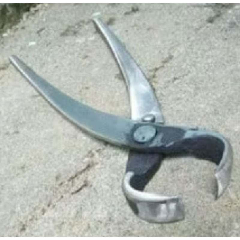 BUMDESA Catok bonsai cembung lokal terbaik