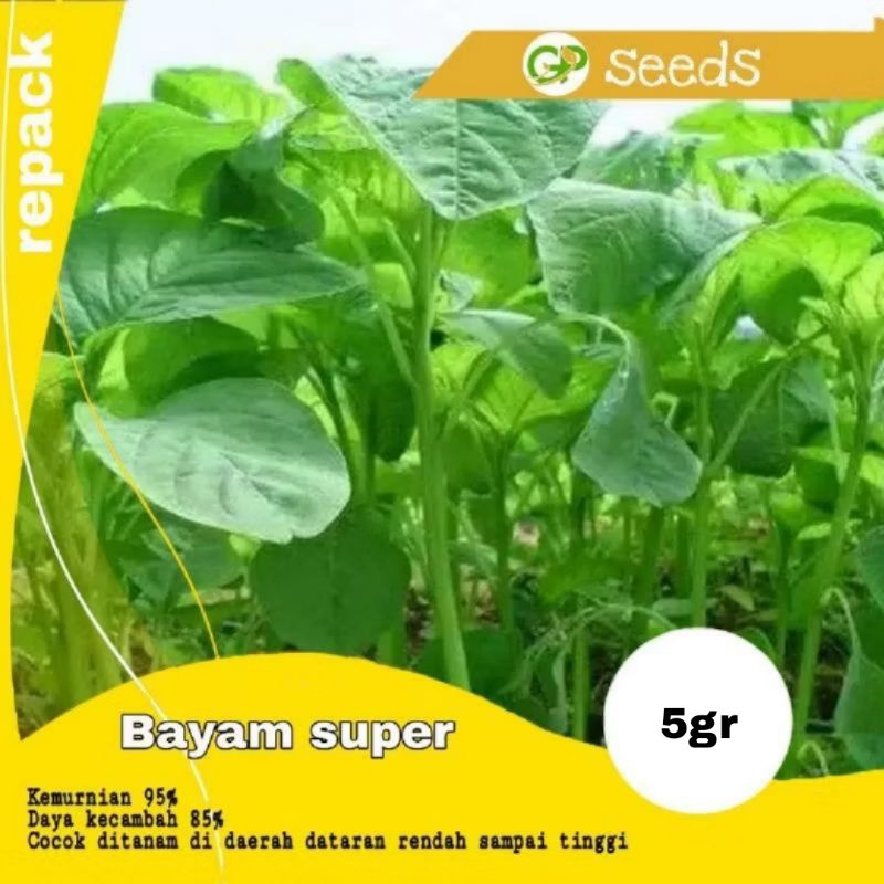 Benih bayam hijau cabut | benih sayuran | bibit sayuran | benih tanaman
