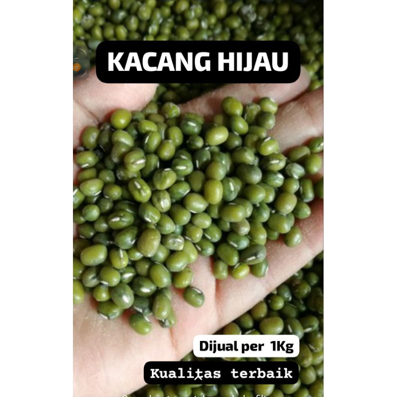 

KACANG HIJAU