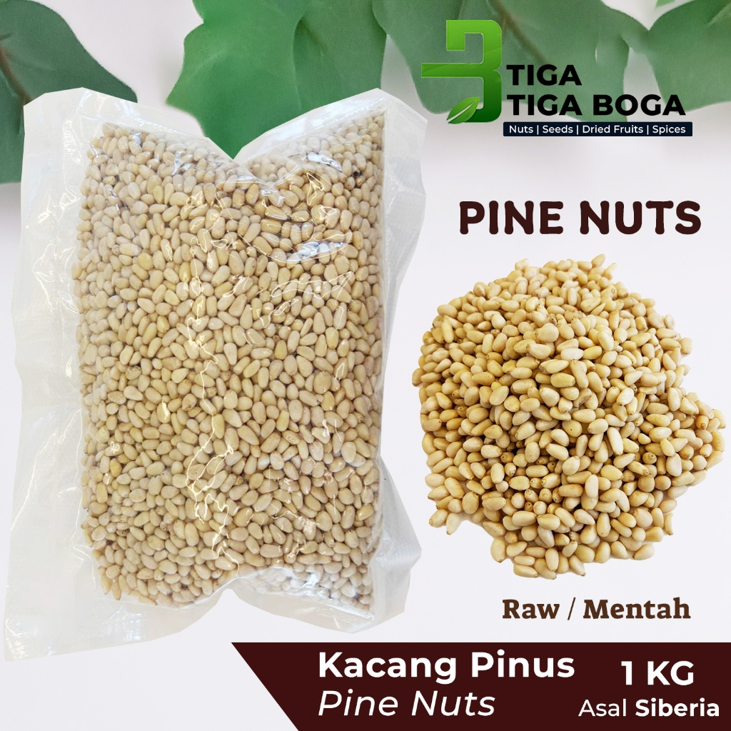 

Kacang Pinus Mentah 1 KG / Raw Pine Nuts Siberia