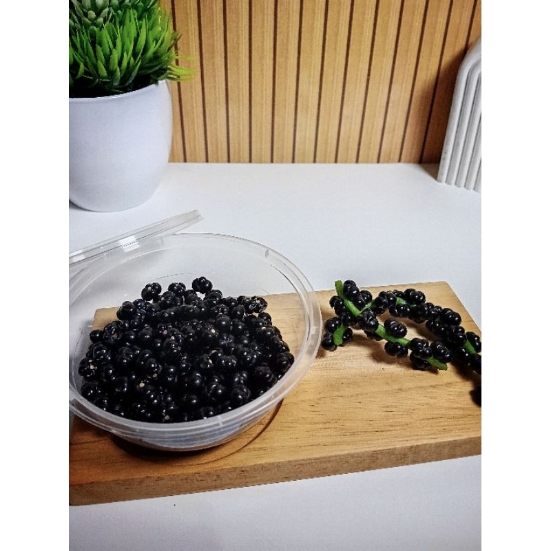 Grosir 200 Biji Buah Binahong Segar/ Buah Angkung Fresh/ Asli Organik ( Obat Stroke, Radang Selaput 