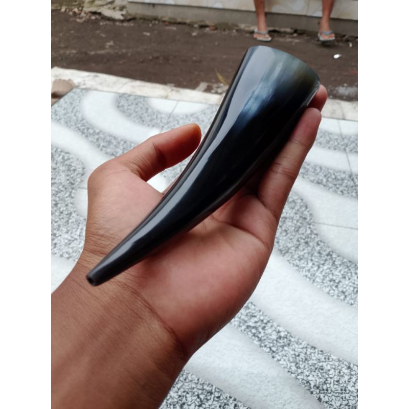 ONCE TANDUK KERBAU JANTAN SUPER JUMBO DAN PANJANG BAHAN JAMIN FULL PADAT DAN BERKUALITAS