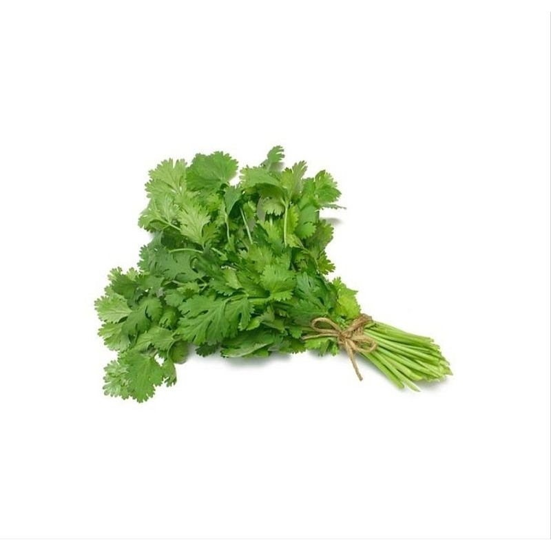 

Coriander/Wansui/Daun Ketumbar Organik & Segar 100 gram