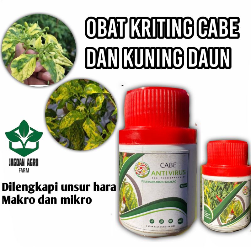 Obat Kriting Daun Cabai Dan Kuning Daun Cabe - Obat Anti Virus Tanaman Cabai - Obat Cabai Cabe - Oba
