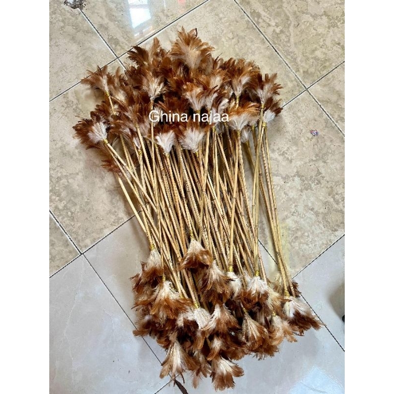 Tongkat bulu tari papua/dayak.