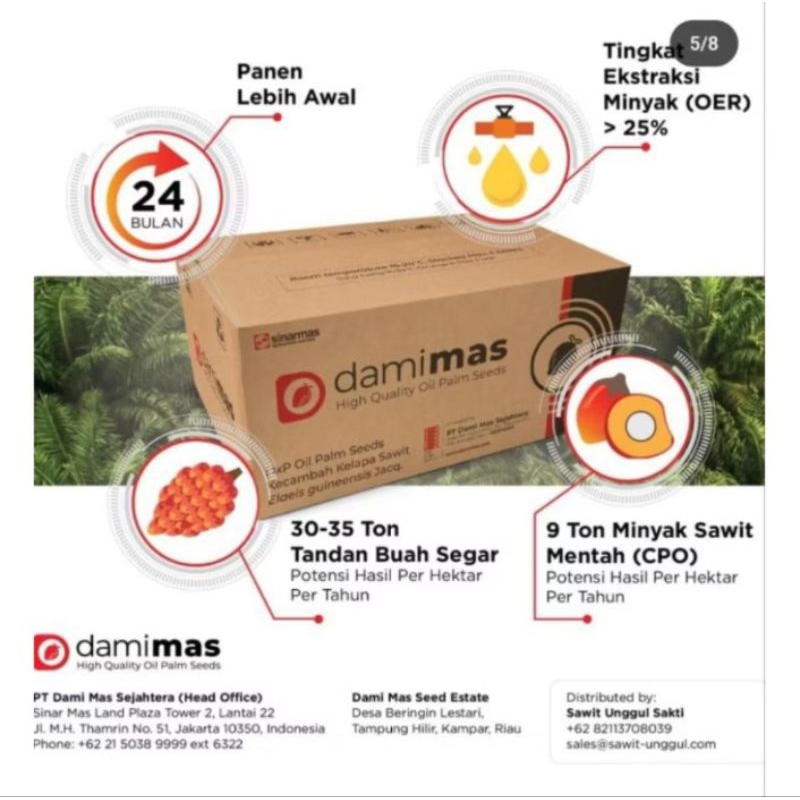 Benih Sawit Dami Mas / DAMIMAS ORIGINAL bersertifikat