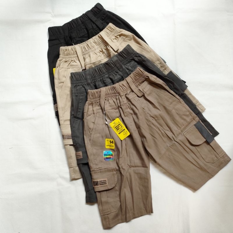 Celpen Cargo Boomboobee