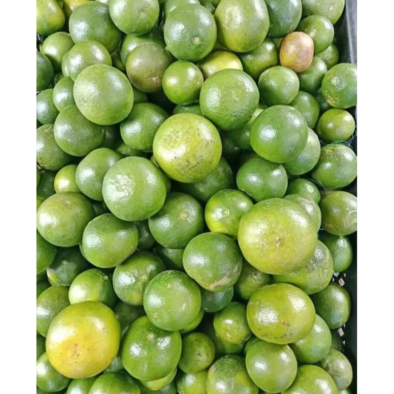 

jeruk peras minuman kemasan 1 kg