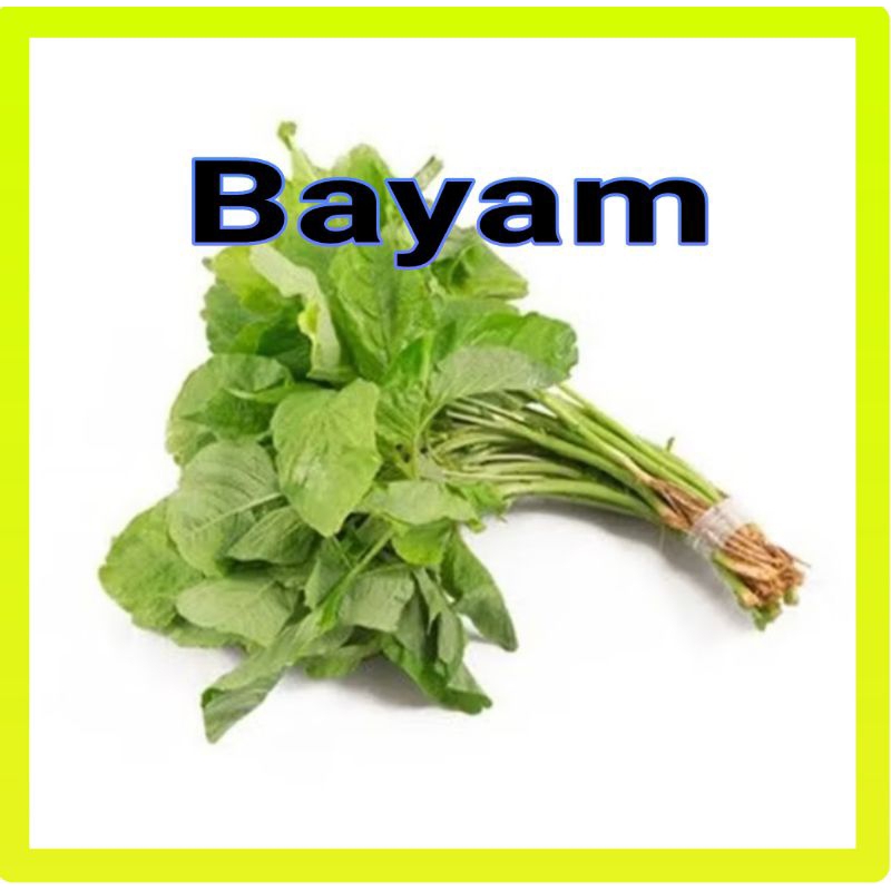 

Bayam